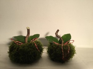 blomster æbler